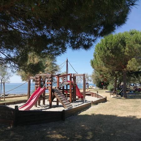 Apartment Vera, 80 M From The Sea Novigrad  Exterior photo