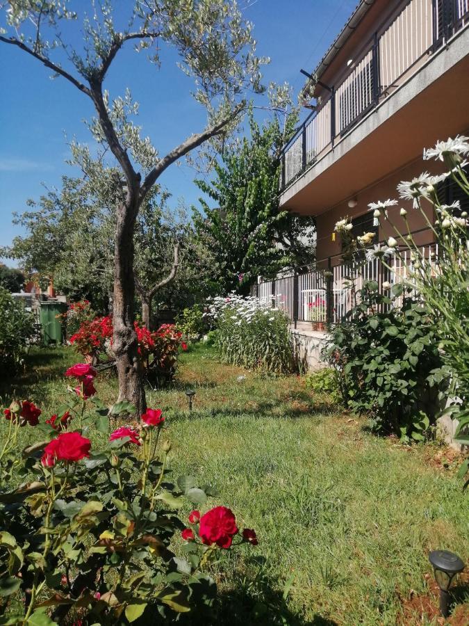 Apartment Vera, 80 M From The Sea Novigrad  Exterior photo